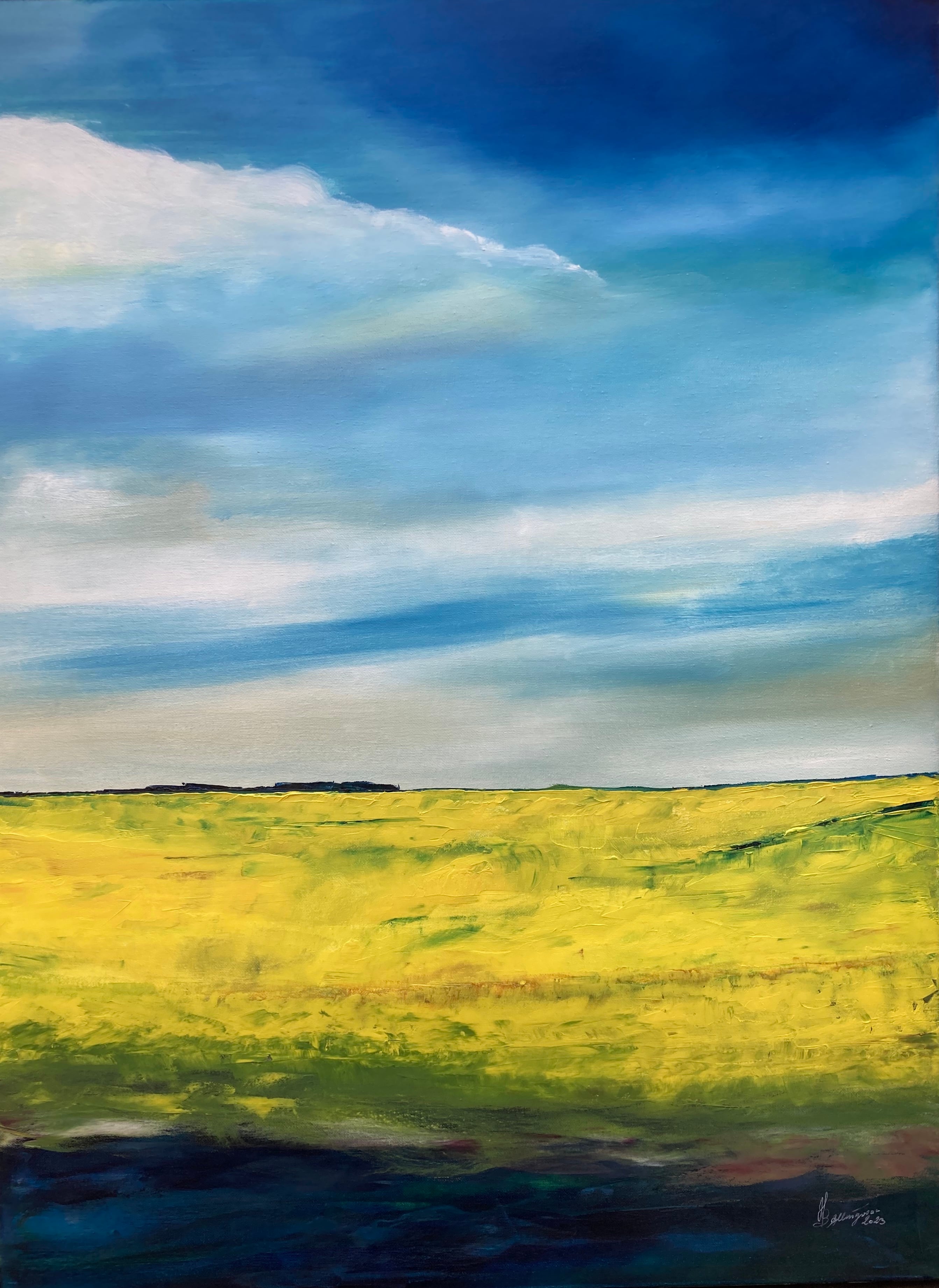 "Når rapsen blomstrer"
Billede nr.35 Malet med olie på lærred
Mål 80 cm x 60 cm pris 2800 Dkr