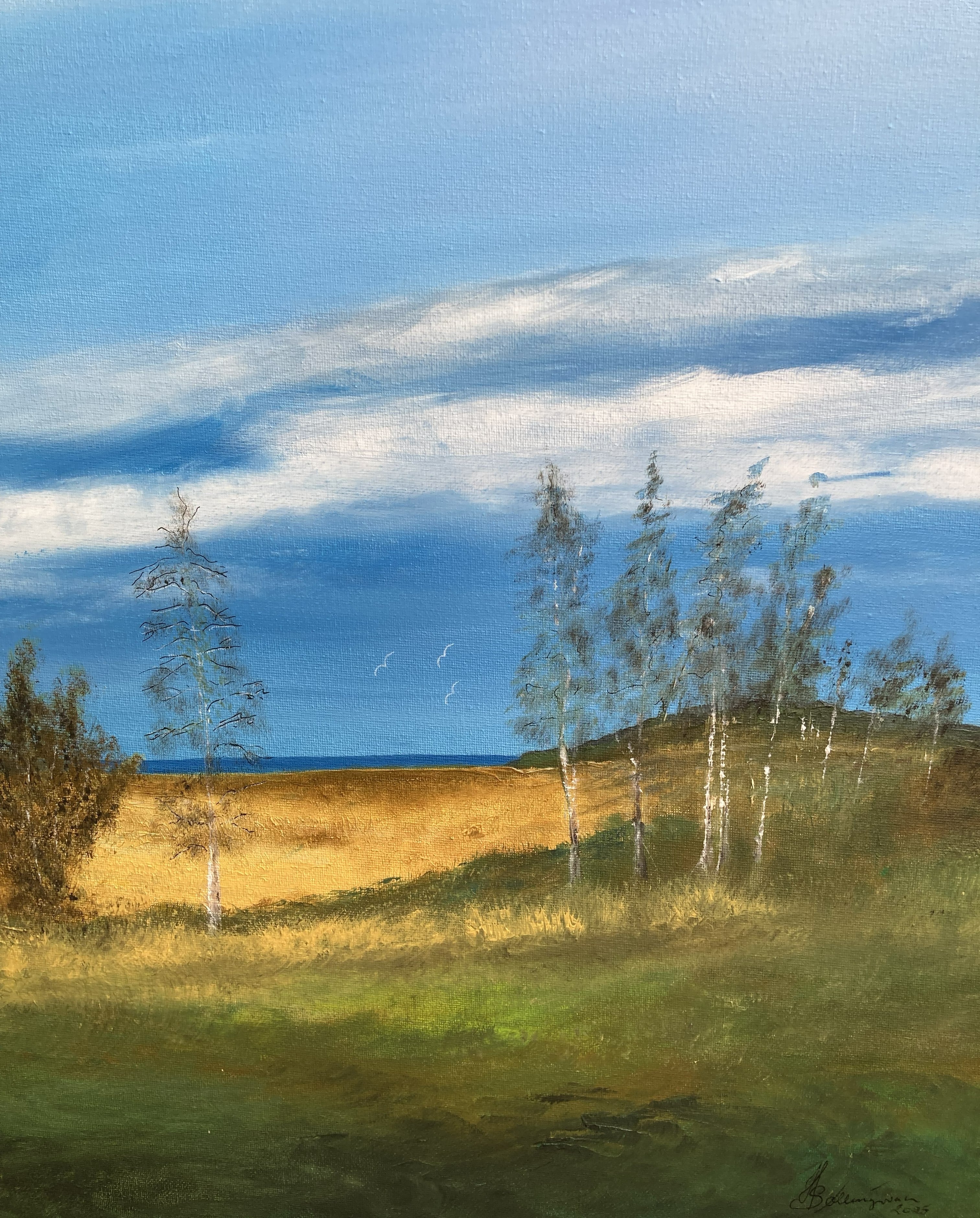Billed nr 99 - "Østersø kig", Gedser,
Olie på Lærred,- 40 cm X 50 cm. Pris 2000 Dkr